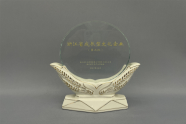 浙江省成長(cháng)型文(wén)化企業